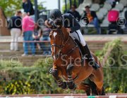 DI GIAMBERARDINO GIOCO CampITA2013- S5 0915 : Campionati Italiani 2013, Cattolica, DI GIAMBERARDINO DARIO, GIOCO DEL CASTEGNO, Horse Riviera Resort, foto di Stefano Secchi ©